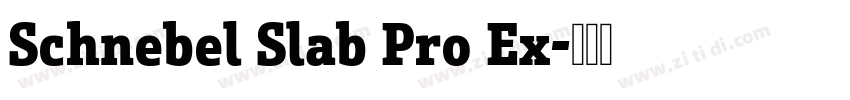 Schnebel Slab Pro Ex字体转换 Schnebel Slab Pro Ex字体转换